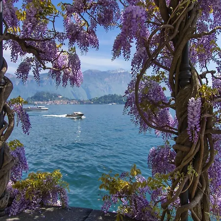 Casa Del Limone * メナッジョ